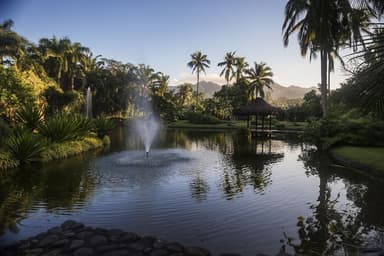 The Farm at San Benito